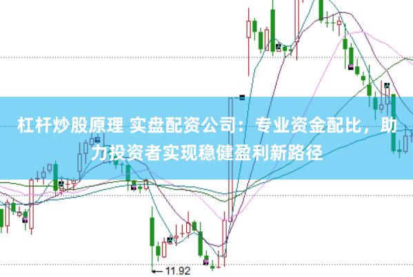 杠杆炒股原理 实盘配资公司：专业资金配比，助力投资者实现稳健盈利新路径