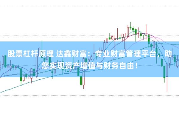 股票杠杆原理 达鑫财富：专业财富管理平台，助您实现资产增值与财务自由！