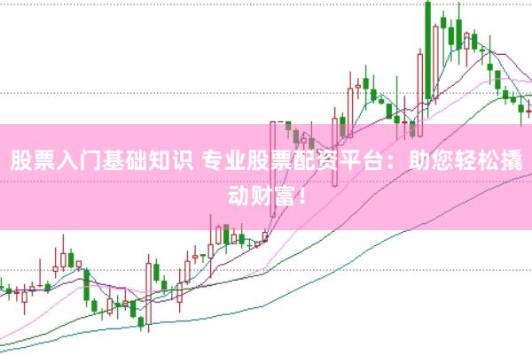 股票入门基础知识 专业股票配资平台：助您轻松撬动财富！