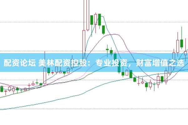 配资论坛 美林配资控股：专业投资，财富增值之选