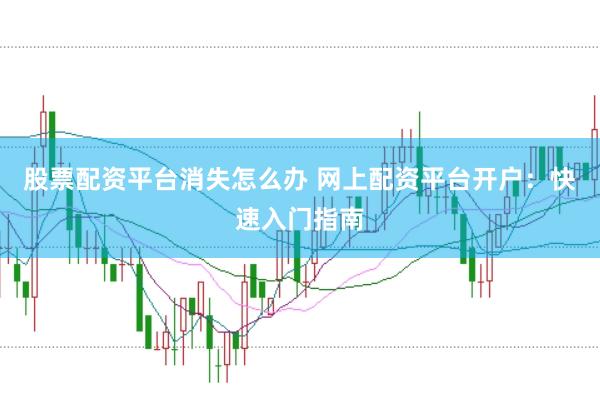 股票配资平台消失怎么办 网上配资平台开户：快速入门指南