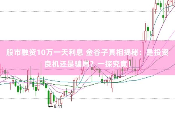 股市融资10万一天利息 金谷子真相揭秘：是投资良机还是骗局？一探究竟！