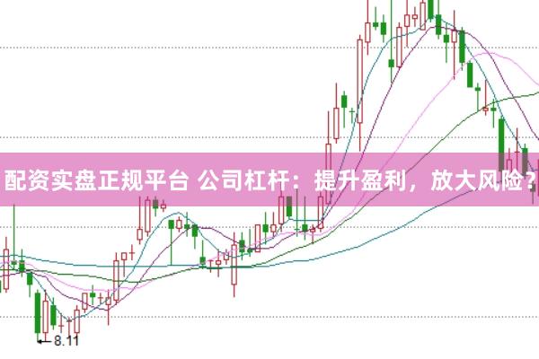 配资实盘正规平台 公司杠杆：提升盈利，放大风险？