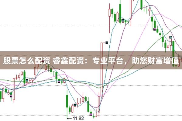 股票怎么配资 睿鑫配资：专业平台，助您财富增值