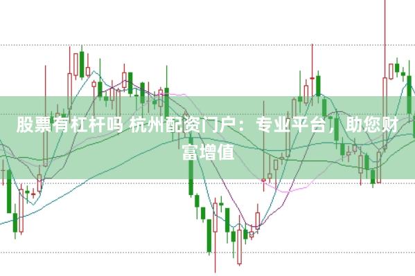 股票有杠杆吗 杭州配资门户：专业平台，助您财富增值