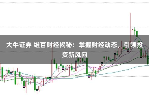 大牛证券 维百财经揭秘：掌握财经动态，引领投资新风向