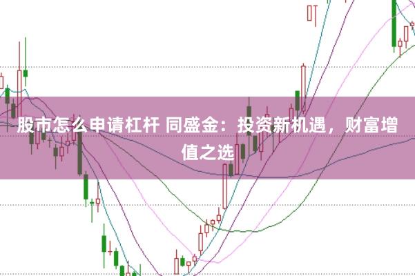 股市怎么申请杠杆 同盛金：投资新机遇，财富增值之选