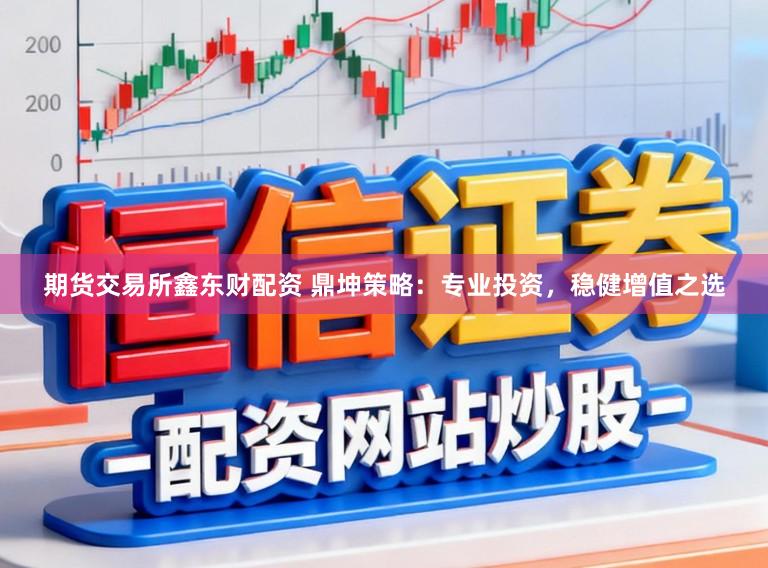期货交易所鑫东财配资 鼎坤策略：专业投资，稳健增值之选
