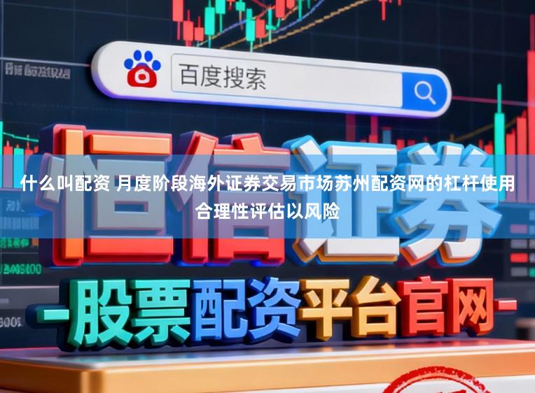 什么叫配资 月度阶段海外证券交易市场苏州配资网的杠杆使用合理性评估以风险